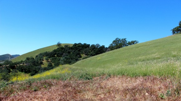 Blazing Saddles Ranch